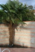 WEB-Galets-chevron-